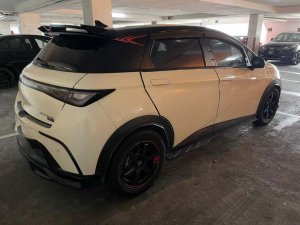 Byd Dolphin Dynamic (Electric Vehicle)
