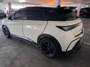 Byd Dolphin Dynamic (Electric Vehicle)
