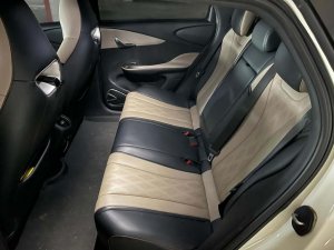 Byd Dolphin Dynamic (Electric Vehicle)