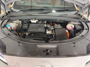 Byd Sealion 6 Dmi