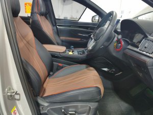 Byd Sealion 6 Dmi