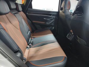Byd Sealion 6 Dmi
