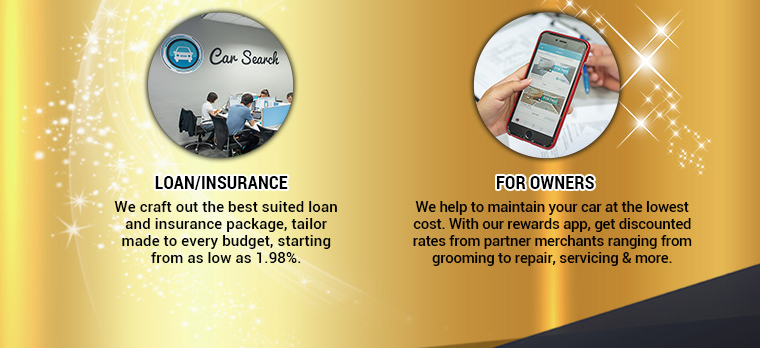 Insurance loan