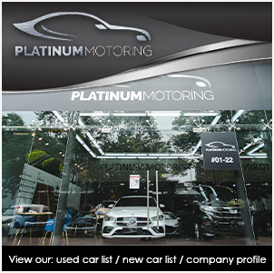 Platinum Motoring